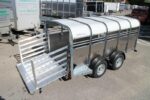 Ifor Williams Pferdeanhänger TA5 311x155x115 cm, SW10827 – Bild 3