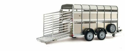 Ifor Williams Pferdeanhänger TA5 250x155x182 cm, SW10830