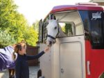 Ifor Williams – Hbx 506 – 2 Plätze – Gebrauchte