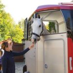 Ifor Williams – Hbx 506 – 2 Plätze – Gebrauchte
