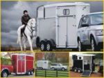 Ifor Williams Pferdeanhänger HB506| Frontausstieg | Klappenkombi| Schwarz-Neu – Bild 12